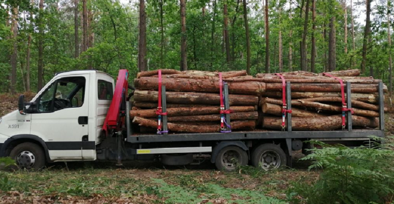 перевозка грузов Iveco Daily